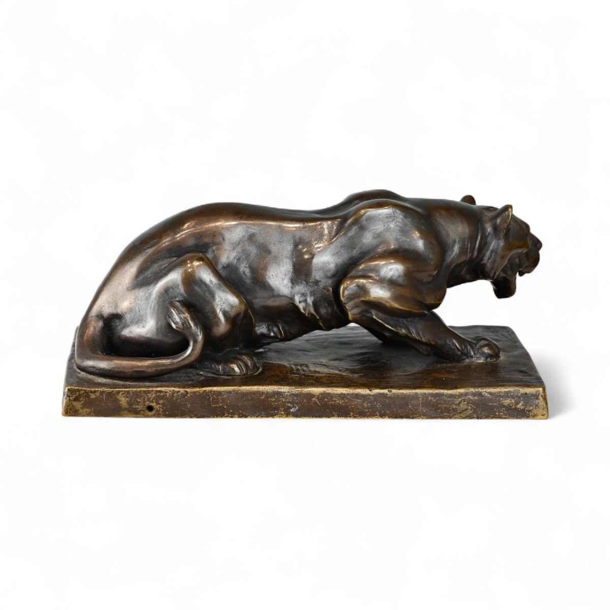 Friedrich Gornik - Pantera in Bronzo - Slovenia Inizio XX Secolo-photo-3